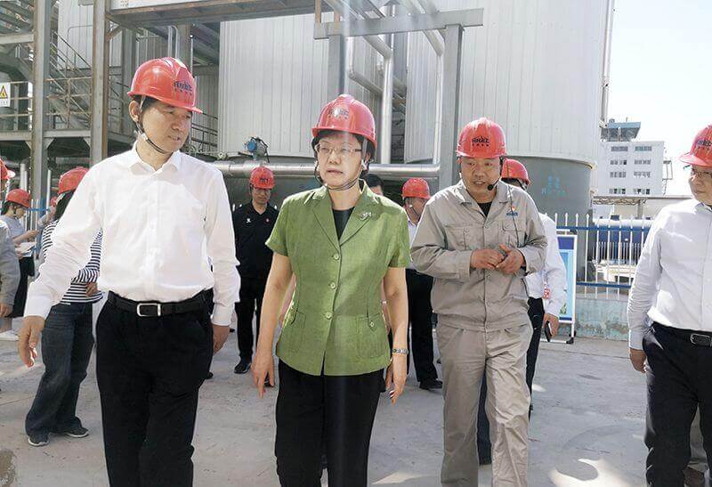 2019年5月23日，全国政协副主席李斌（左二）到尊龙凯时人生就是搏调研