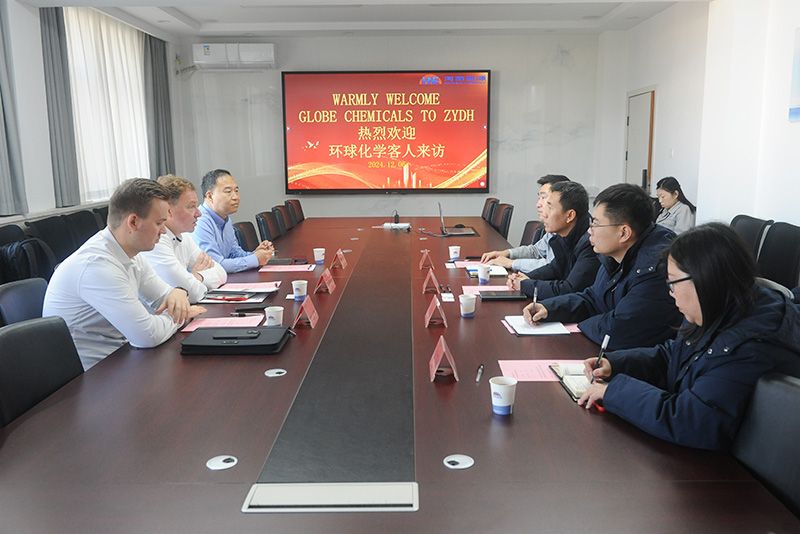 德国客人到访尊龙凯时人生就是搏